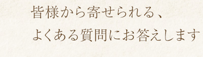 待ち時間さえも癒しになる居心地のいい空間